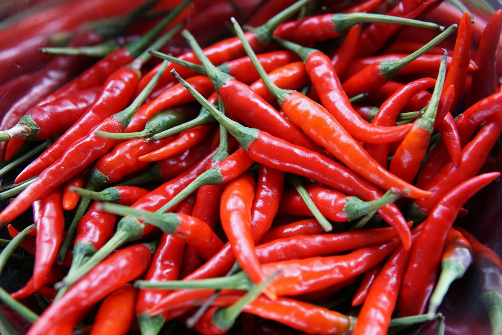 A heap of long red chili peppers