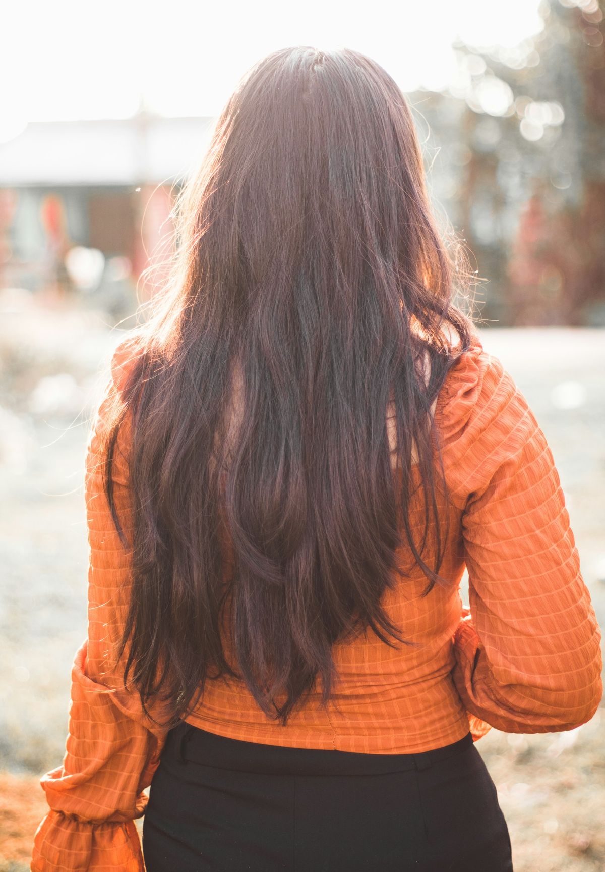 Long brown hair falling past the shoulders, seen from behind outdoors.