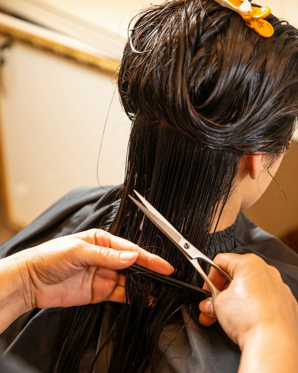 Hands sectioning wet hair and cutting a straight line with scissors.