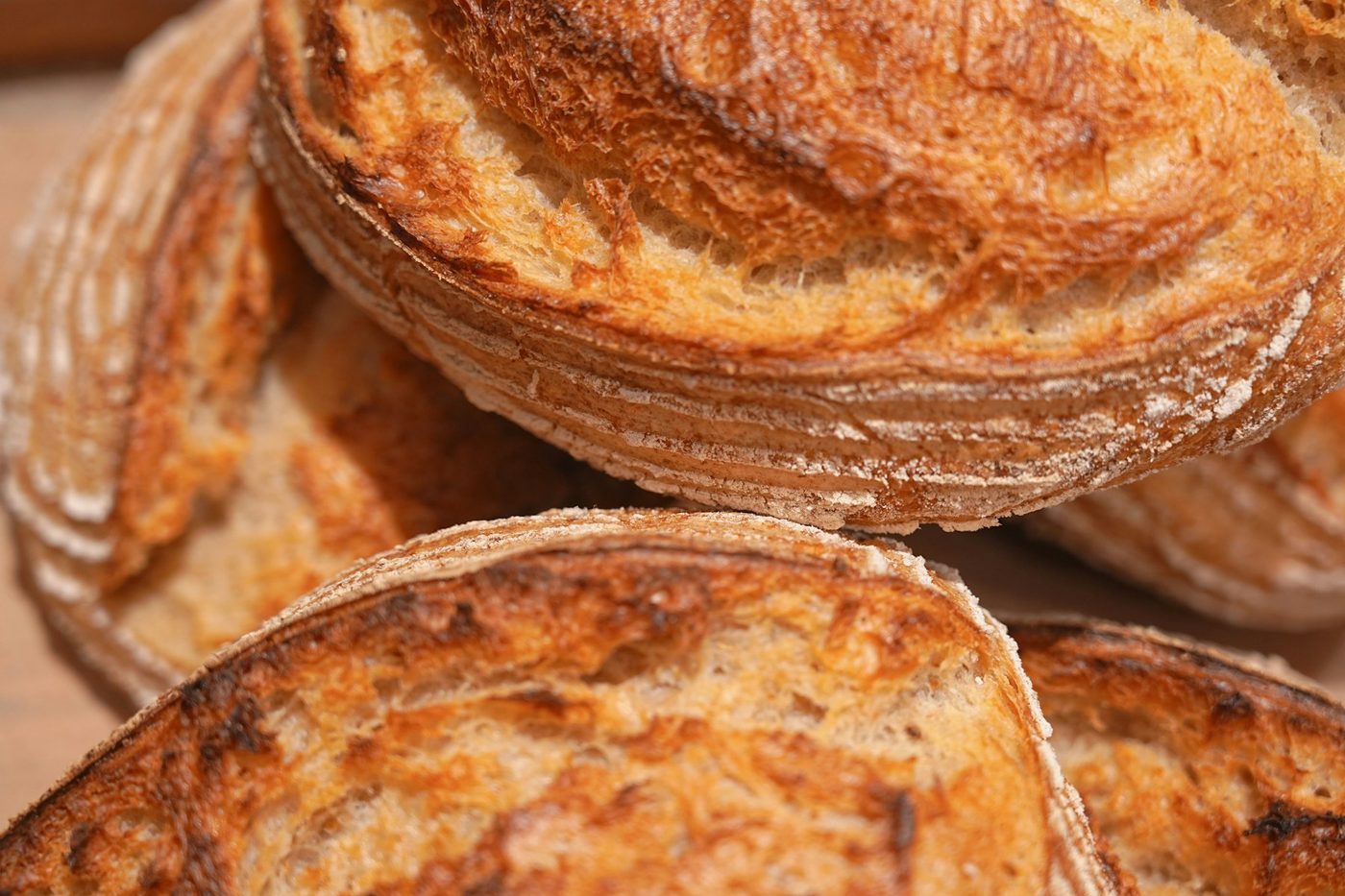 bread